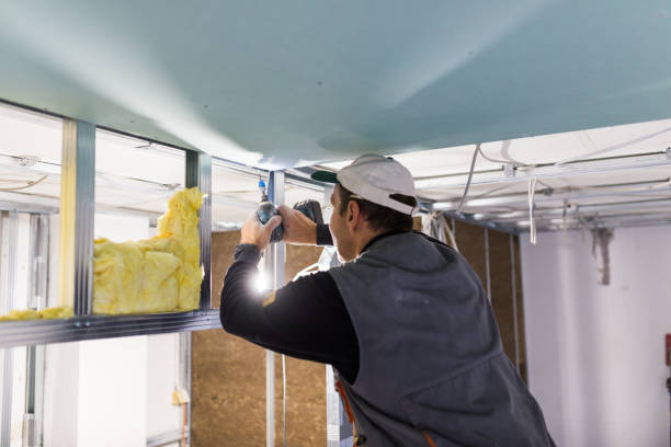 Best Types of Insulation in Central City, IA