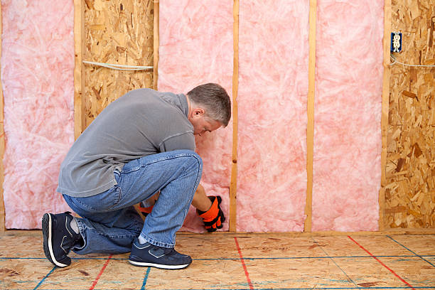 Best Insulation Materials and Products in Central City, IA